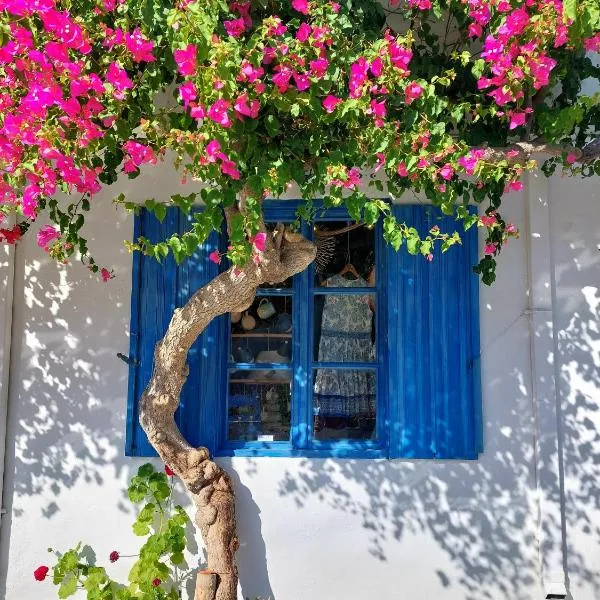 Chez Cécile Home, hotel in Tourlotí