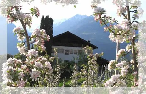 Lothof, hotell sihtkohas Schenna