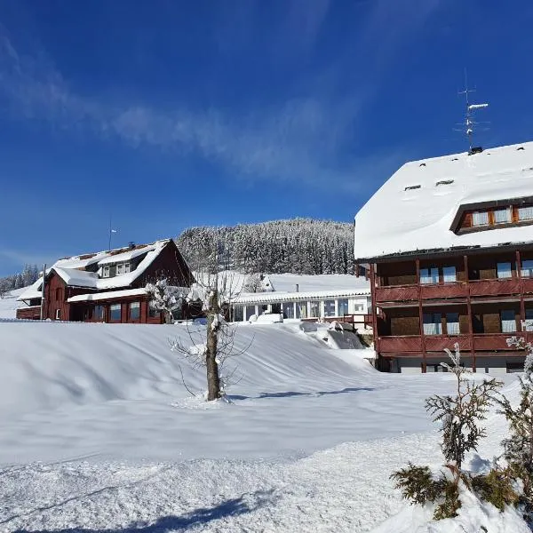 B und B Titisee Hotel Sonnenmatte nahe Badeparadies, hotel em Titisee