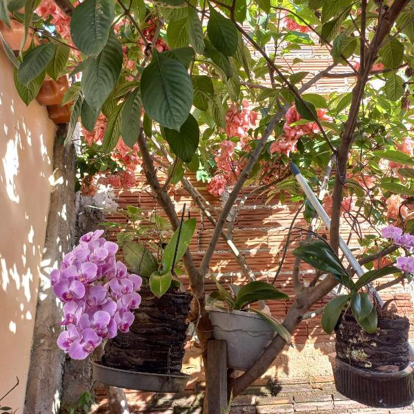 Recanto Sossego - Foto 5