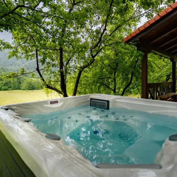 Holiday House Sofia, hotel v destinaci Delnice