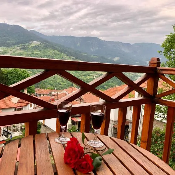 Apostolos Hotel, hotel v destinaci Metsovo