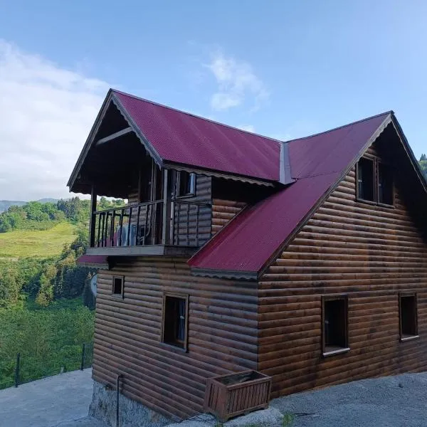Diamond Tree House, hotel Maçkában