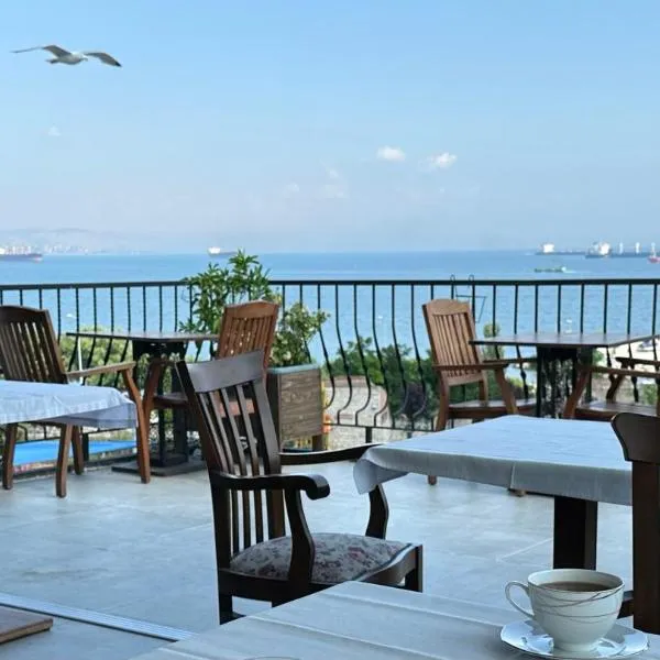 Queen Seagull Boutique Hotel, hotel v destinaci Istanbul