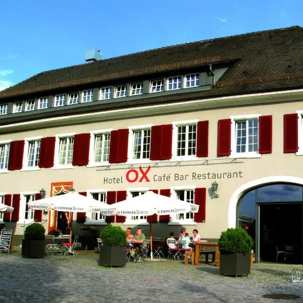 OX Hotel, hotel in Kirchhofen