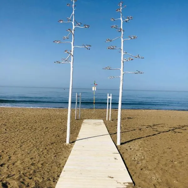La Stella Sea House, hotel v destinaci torvaianica