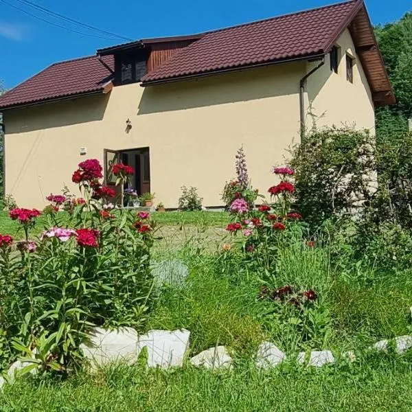 Pensiunea ,,Suciu", hotel in Răchiţele