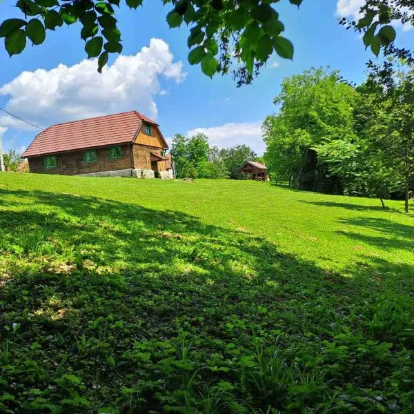 Bakina iža, hotel in Lučica