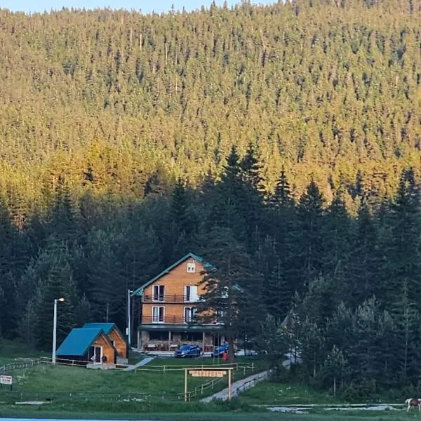 Apartmani JEZERO, hotel en Ðurđevića Tara