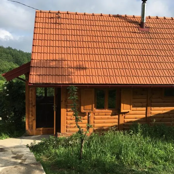 Brvnara Ruska sauna, hotel em Čajetina