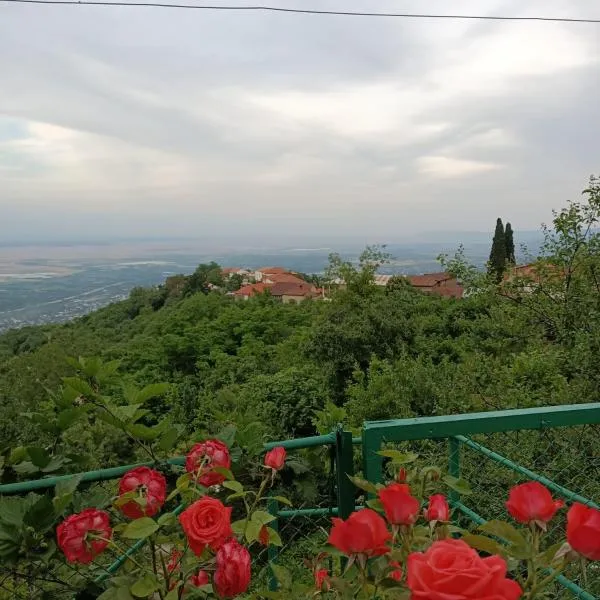 Guesthouse Kiko, khách sạn ở Sighnaghi