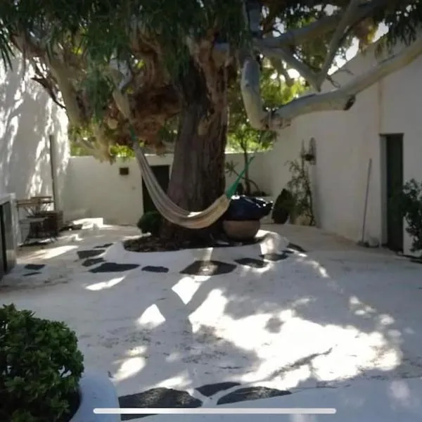 Lovely studio in original finca, hotel La Asomadában