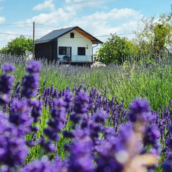 Vacation Home - NEST Kalnik, hotell i Kalnik