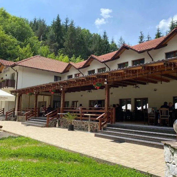 Pensiunea Perla Codrului: Budureasa şehrinde bir otel