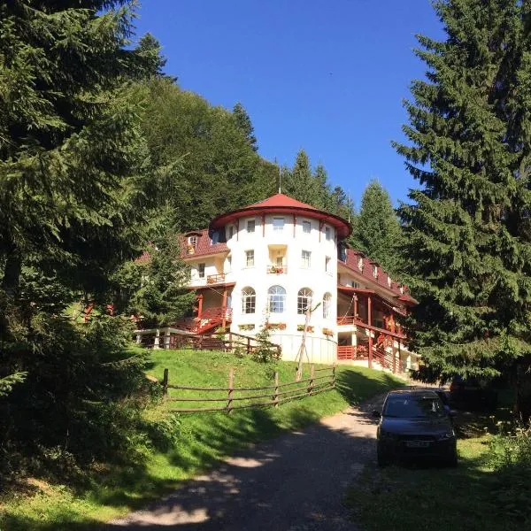 Casa Olga Paraul Rece, hotel din Pârâul Rece