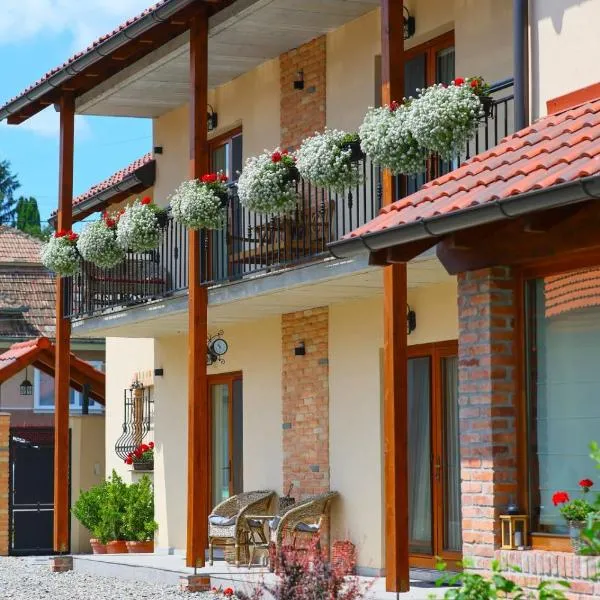AMA Guest House, hotel in Petreştii de Jos