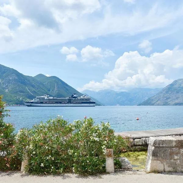 Konoba 224 Apartments, hotel in Kotor
