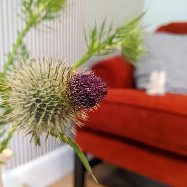 Self-Catering Suite in rural guest house 10 min to Islay Ferry Terminal、Ronachanのホテル