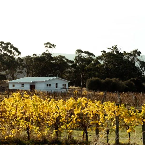 *New* Pip's Place at Lisdillon Vineyard, hotel en Little Swanport