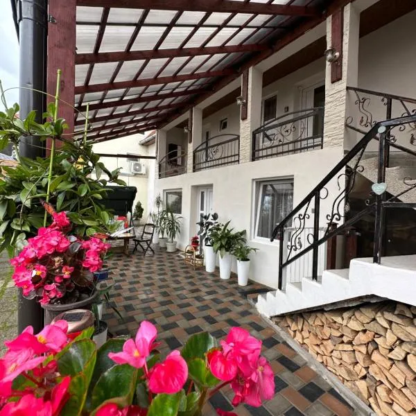 Casa RIO, hotel v destinaci Sighişoara