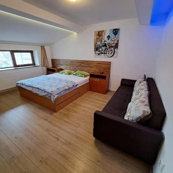 Apartment Cozia، فندق في تيميشوارا