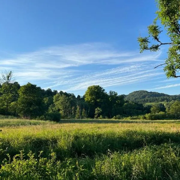 Bieszczady Domki w Dolinie Sanu, hotel en Lutowiska