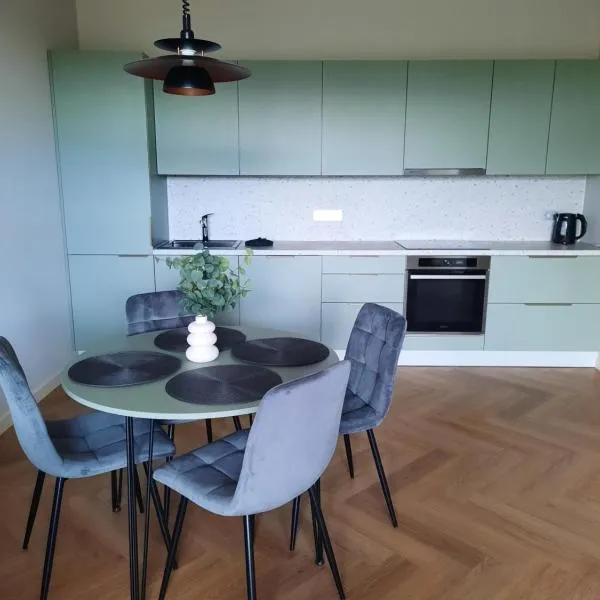Ainių gatvės apartamentai, hotel v destinaci Panevėžys