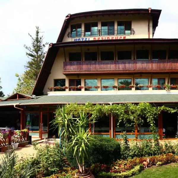 Family Hotel Residence, hôtel à Dobritch