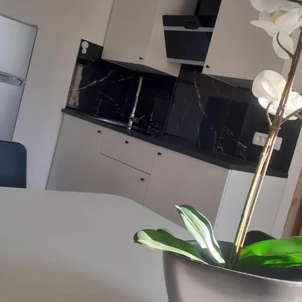 Apartma Ana, hotel in Koper