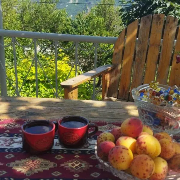 Arman Bed and Breakfast, hotel v destinaci Halidzor