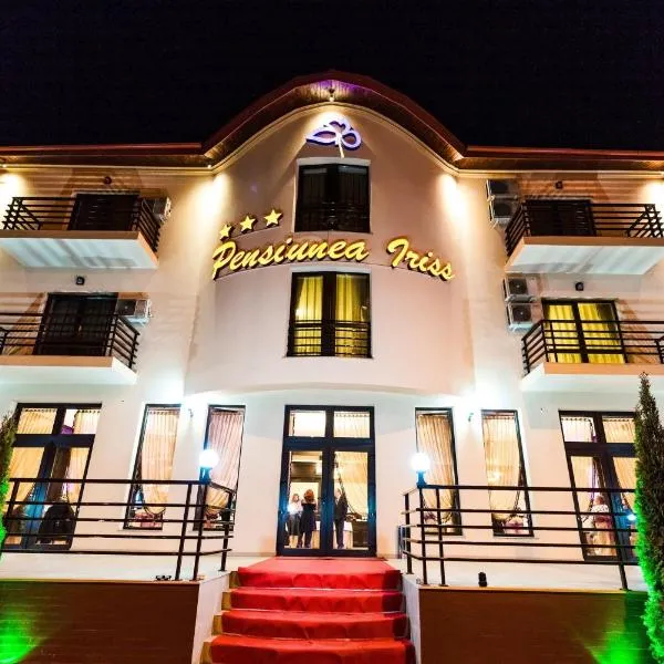 Pensiunea Iriss, hotel v destinaci Valea Lupului