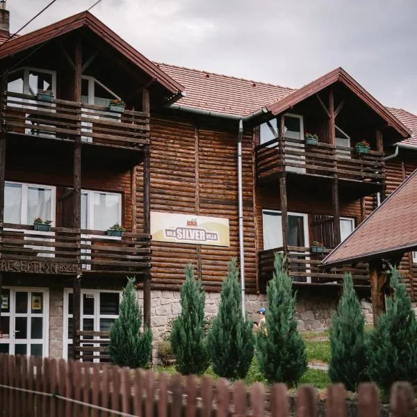 Silver Villa, hotell i Băile Tuşnad