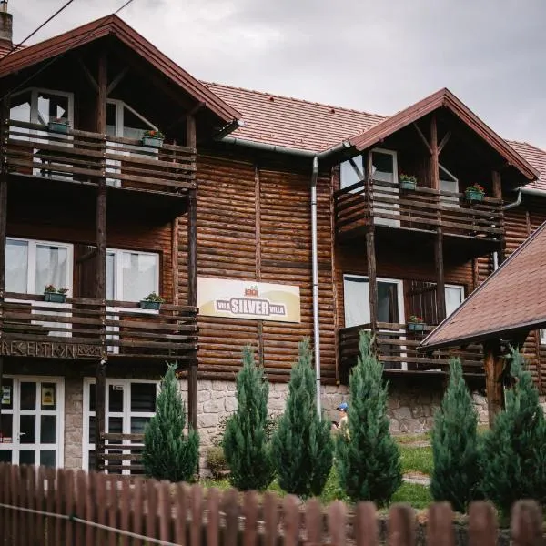 Silver Villa, hotel din Balvanyos