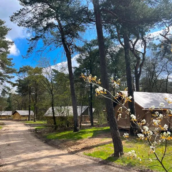 Huttopia De Veluwe, hotel v destinaci Kootwijk