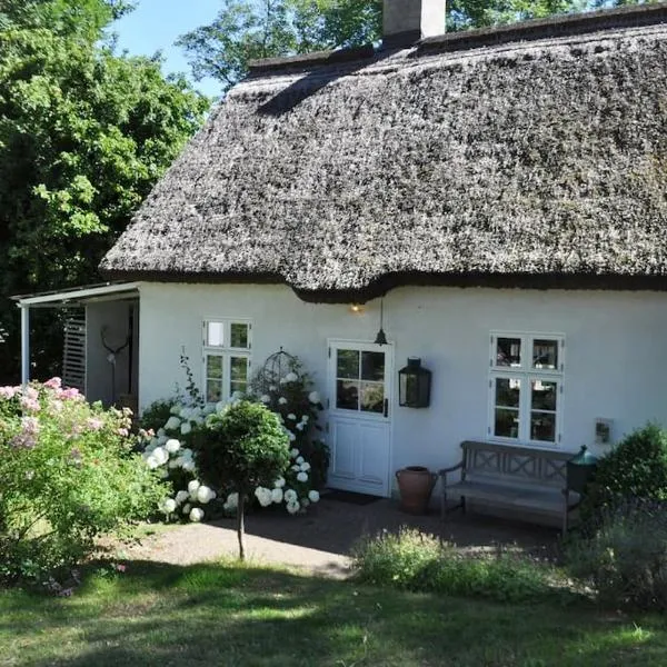 Zauberhaftes englisches Cottage am Gutshaus, khách sạn ở Groß Schoritz