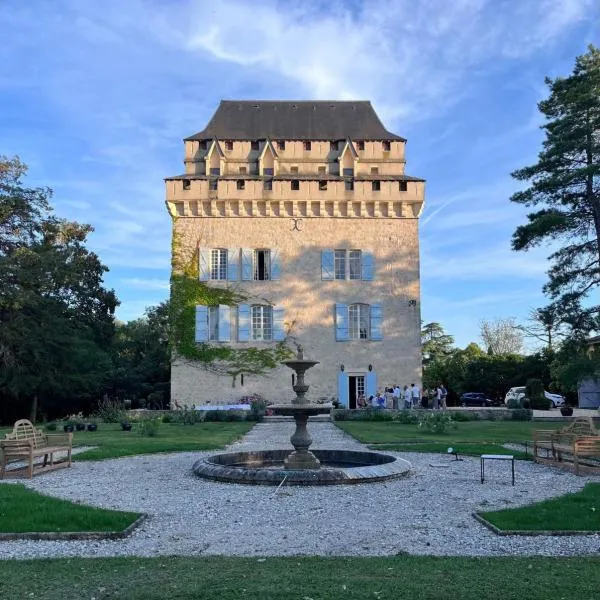 Château Déhès Gazaupouy 1 chambre d'hôte et 1 Gite, hotel en Saint-Vincent-de-Lamontjoie