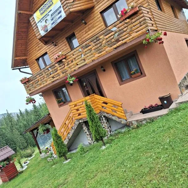 Cabana Georgiana Maria, hotel v destinaci Gheţari