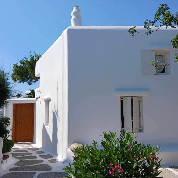 Cassaris Mykonos, hotel i Drafaki