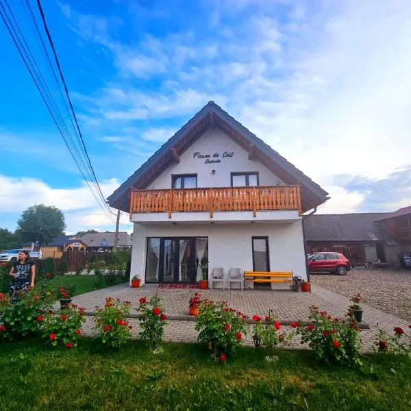 Floare de Colt Sapanta, Hotel in Săpânța