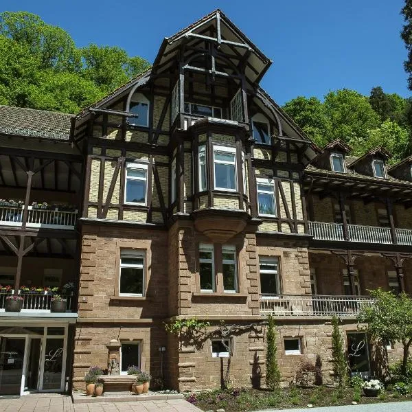 Hotel Luise, hotel v destinaci Bad Bergzabern
