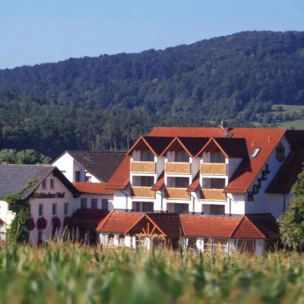 Wagners Fränkischer Hof, hotel en Redwitz an der Rodach