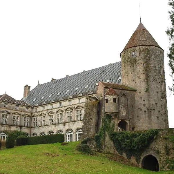 Chateau de Frasne – hotel w mieście Gy