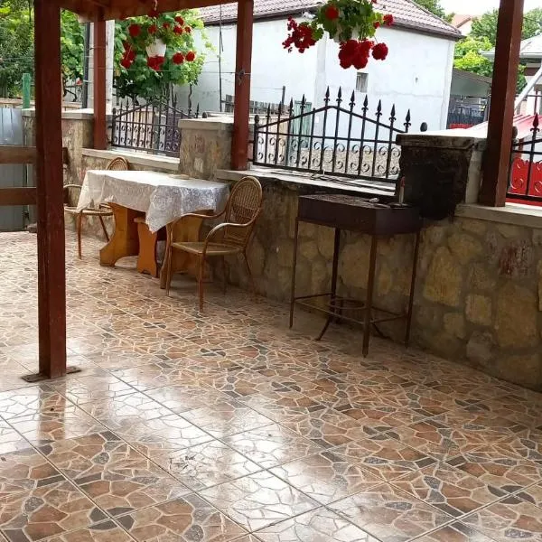 CASA ADELA, hotel v destinaci Tulcea