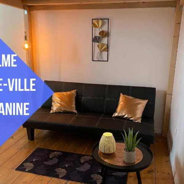 La Domus Lemaitre 9 - Parking - TV - Wifi - Belgique, hotell i Bavay