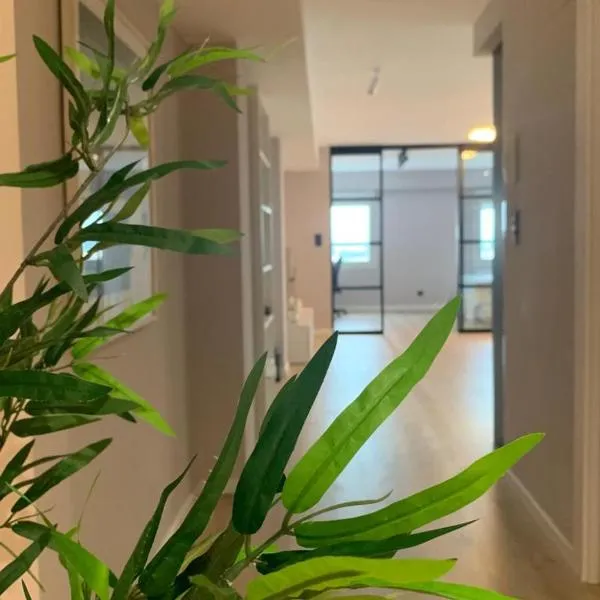 Espectacular loft lleno de luz y espacio!, hotel a Saragozza