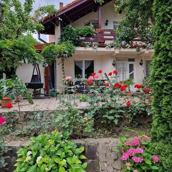 Casa Jan Bonca, hotel v destinaci Lorău