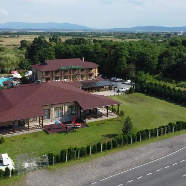 Hanul Lui Bogdan Economy INN, hotel in Făget