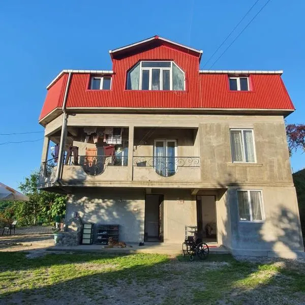 Гостевой дом с апартаментами с видом на город, hotel v destinaci Batumi