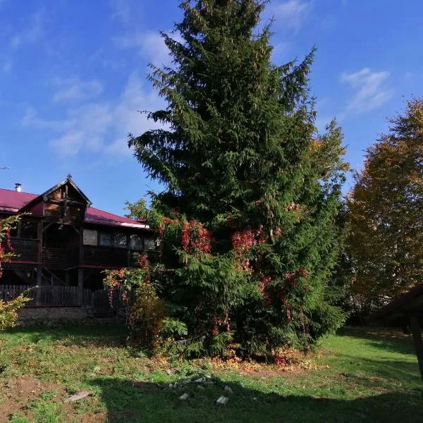 Na Wyraju, hotel in Rembów