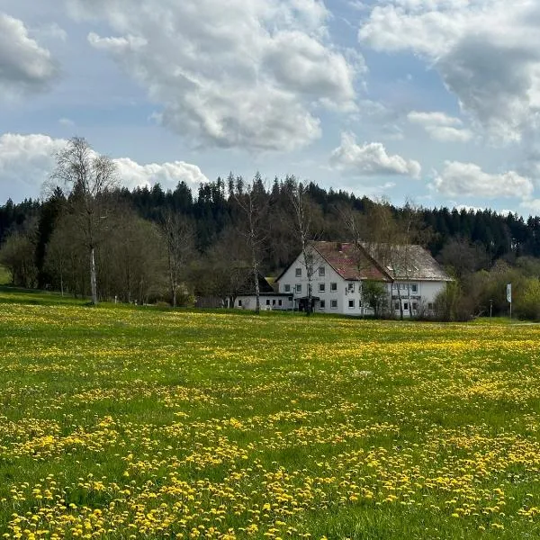 Zum Bayrischen Wirt, hótel í Maierhöfen